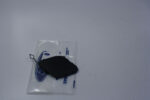 ES-IMG_3250