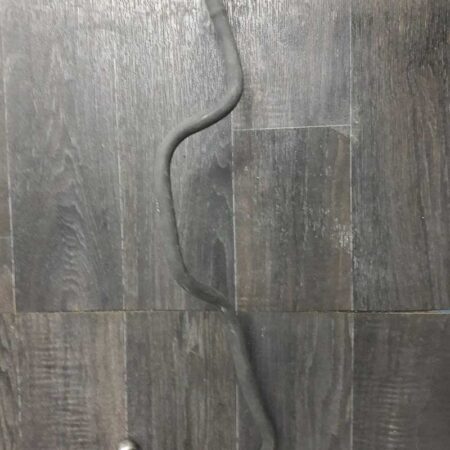 Focus Mazot Depo Hortumu Depo Şamandırasından Cıkan 2006-2001 Orjinal